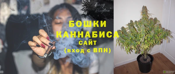 прущие грибы Верхнеуральск