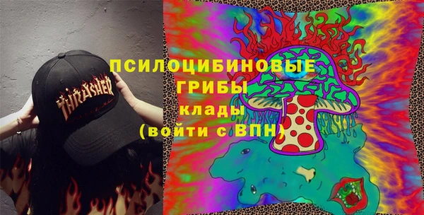прущие грибы Верхнеуральск