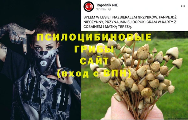 прущие грибы Верхнеуральск