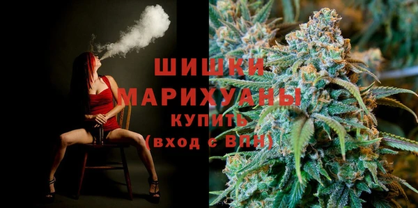 прущие грибы Верхнеуральск