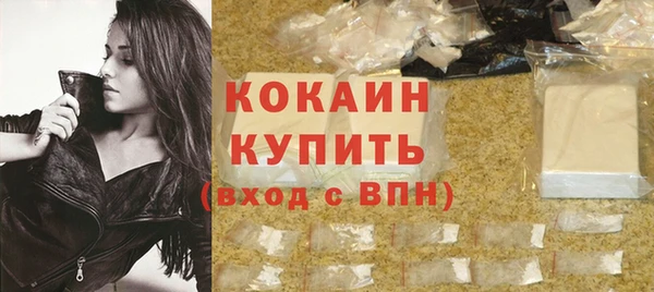 сатива Туринск