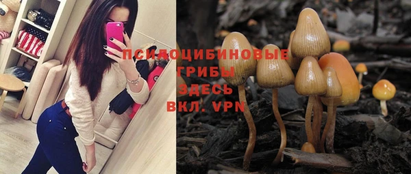 прущие грибы Верхнеуральск