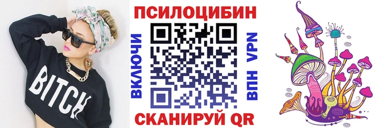 магазин    Кирсанов  Псилоцибиновые грибы GOLDEN TEACHER 